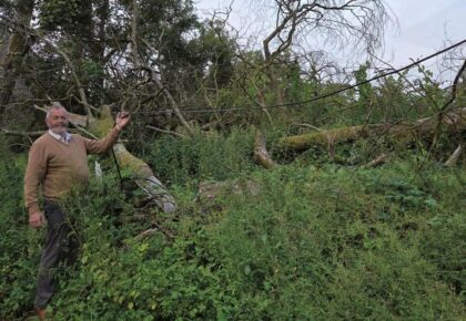 Action demanded over ‘disgraceful’ abandonment of telephone lines on landscape
