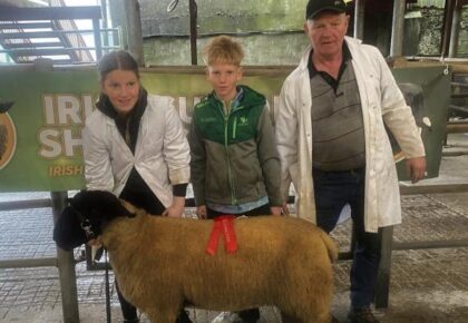 Big money paid for Suffolks at Athenry Show and Sale