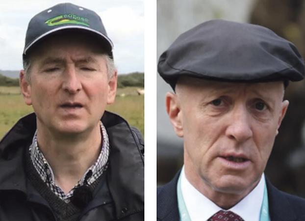 Potential of forestry and trees will be outlined at meeting in Ballinasloe