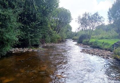 IFI to provide over €1m for transformative river restoration projects in 2026