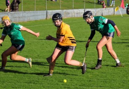 Horan’s fortunate goals help Killimor home in final replay