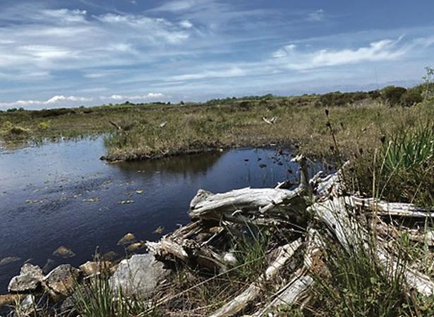 University of Galway launches All-Ireland Peatlands Centre of Excellence