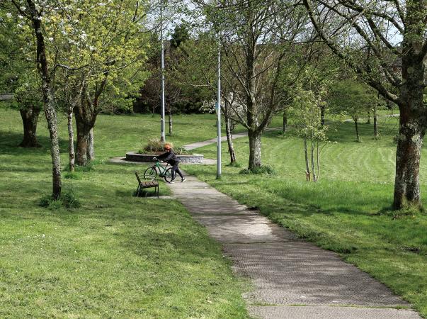 Cleaning up: Galway gets top marks in national litter report