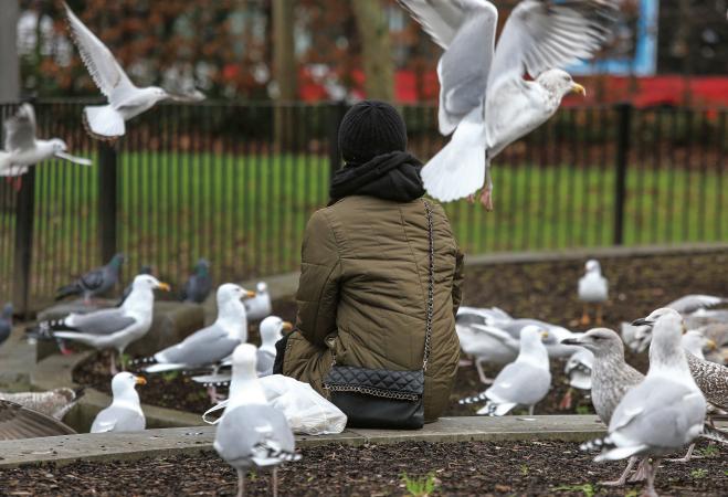 Rats ‘wait for breakfast’ as gulls rip open restaurant bags