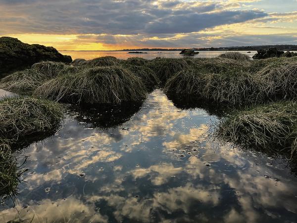 Students’ talent on show with Essence in Kinvara